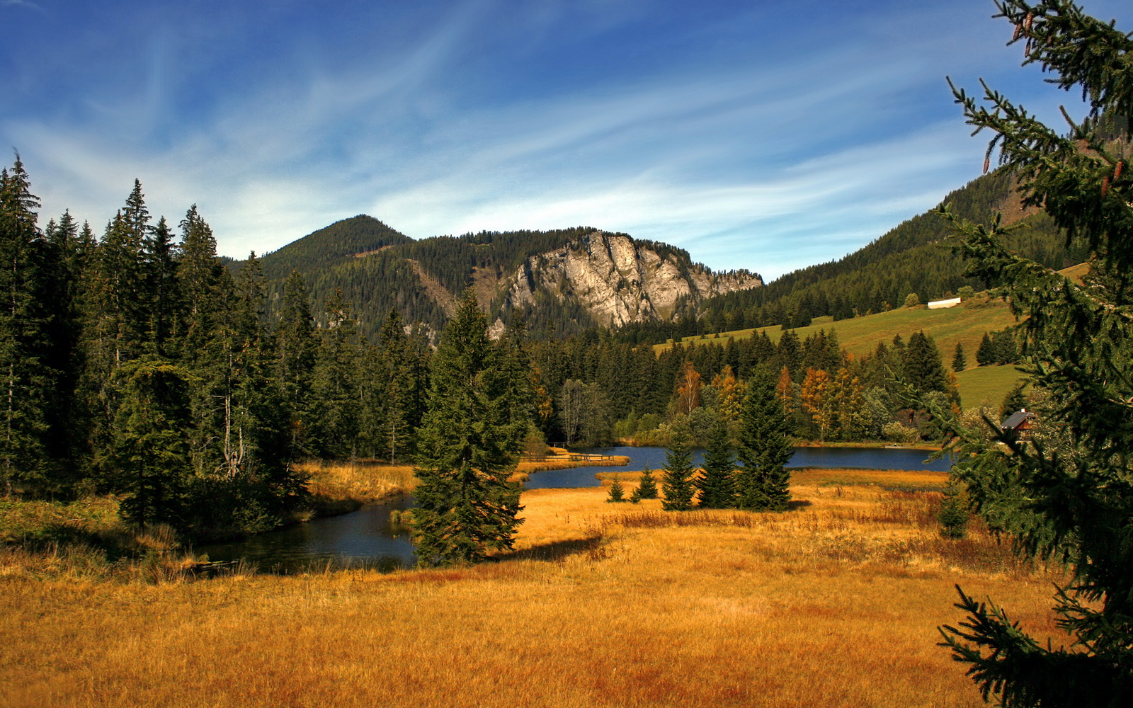 九游体育官方app-“高新区全民健身馆壁球赛：谁能把速度与精准玩得淋漓尽致？”