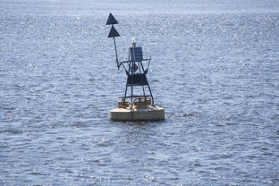 九游体育网页登陆-中方蝶泳入水角度更锐利？图解数据分析，中国蝶泳厉害吗