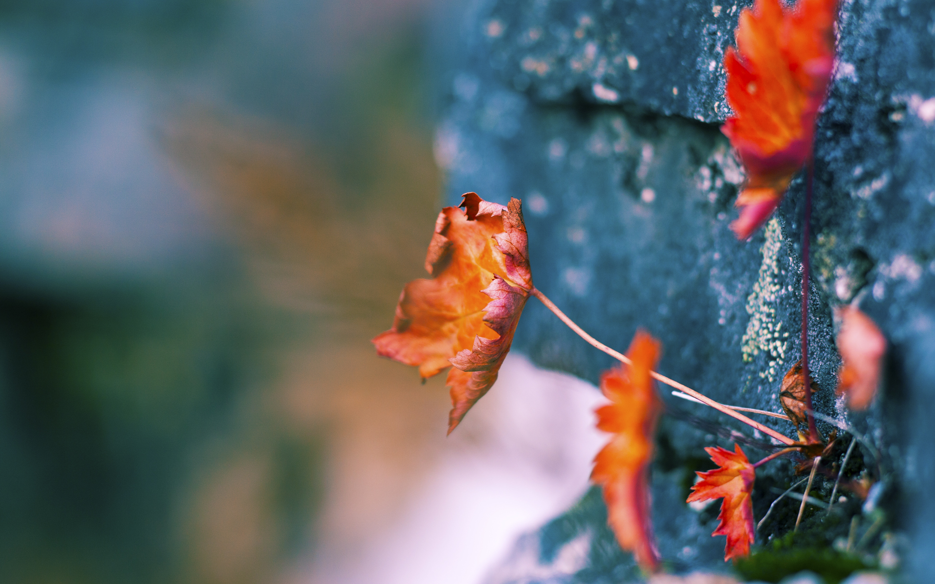 切尔西强化中场压迫寻找反弹节奏,切尔西打法
