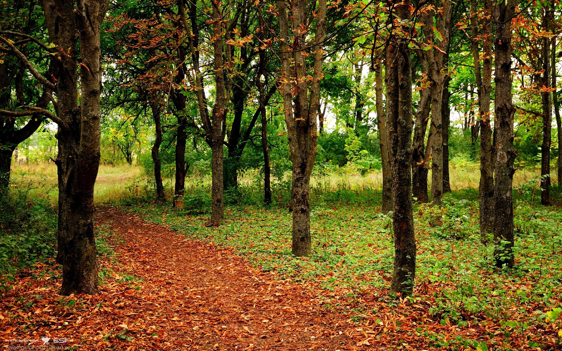 足球战略规划是否缺乏前瞻性，足球未来发展的展望