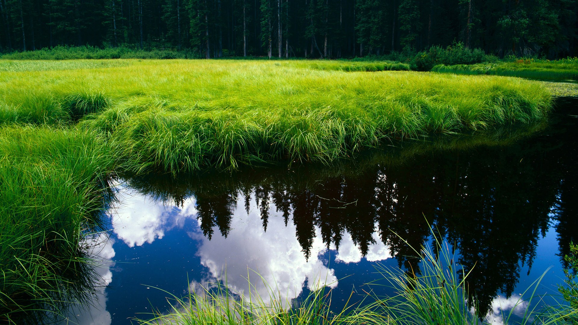 九游-斯洛伐克男篮在欧洲大赛中奋勇追梦，迎接新辉煌，斯洛伐克阵容欧洲杯